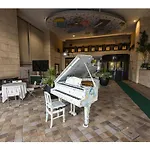 New Osaka Hotel Shinsaibashi - Vacation Stay 24152V